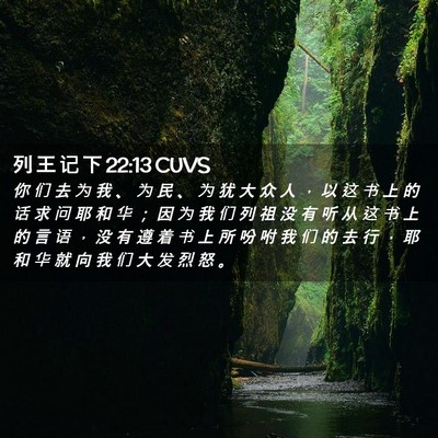 Picture 02 - 列 王 记 下 22:13 CUVS - 你 们 去 为 我 、 为 民 、 为 犹 大 - Bible Verse Picture