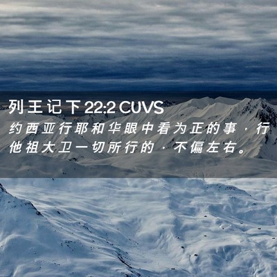 Picture 02 - 列 王 记 下 22:2 CUVS - 约 西 亚 行 耶 和 华 眼 中 看 为 正 - Bible Verse Picture