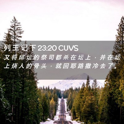 Picture 02 - 列 王 记 下 23:20 CUVS - 又 将 邱 坛 的 祭 司 都 杀 在 坛 上 - Bible Verse Picture