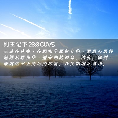 Picture 02 - 列 王 记 下 23:3 CUVS - 王 站 在 柱 旁 ， 在 耶 和 华 面 前 - Bible Verse Picture