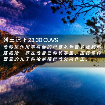 Picture 02 - 列 王 记 下 23:30 CUVS - 他 的 臣 仆 用 车 将 他 的 尸 首 从 - Bible Verse Picture