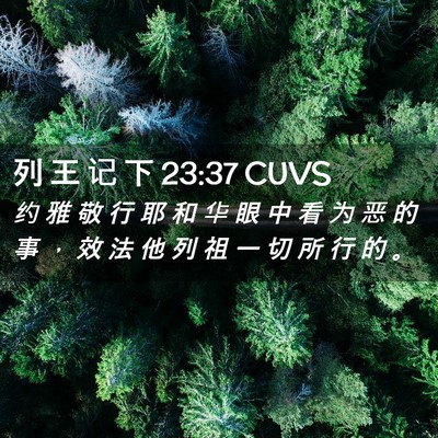 Picture 02 - 列 王 记 下 23:37 CUVS - 约 雅 敬 行 耶 和 华 眼 中 看 为 恶 - Bible Verse Picture