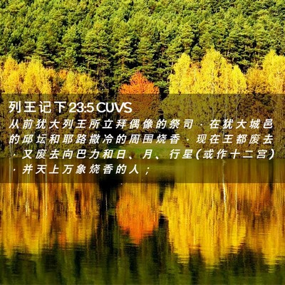 Picture 02 - 列 王 记 下 23:5 CUVS - 从 前 犹 大 列 王 所 立 拜 偶 像 的 - Bible Verse Picture