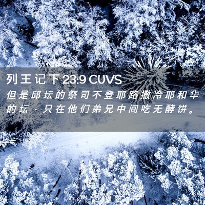Picture 02 - 列 王 记 下 23:9 CUVS - 但 是 邱 坛 的 祭 司 不 登 耶 路 撒 - Bible Verse Picture
