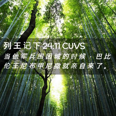 Picture 02 - 列 王 记 下 24:11 CUVS - 当 他 军 兵 围 困 城 的 时 候 ， 巴 - Bible Verse Picture