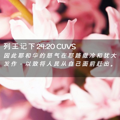 Picture 02 - 列 王 记 下 24:20 CUVS - 因 此 耶 和 华 的 怒 气 在 耶 路 撒 - Bible Verse Picture