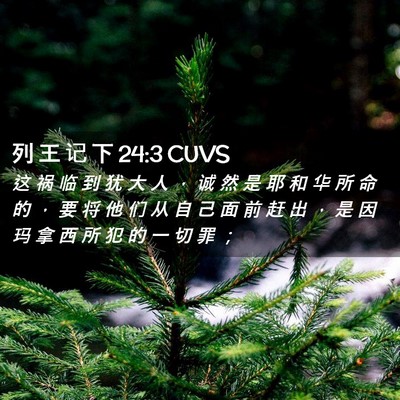 Picture 02 - 列 王 记 下 24:3 CUVS - 这 祸 临 到 犹 大 人 ， 诚 然 是 耶 - Bible Verse Picture