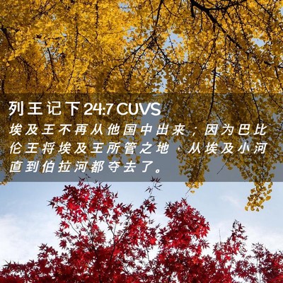 Picture 02 - 列 王 记 下 24:7 CUVS - 埃 及 王 不 再 从 他 国 中 出 来 ； - Bible Verse Picture
