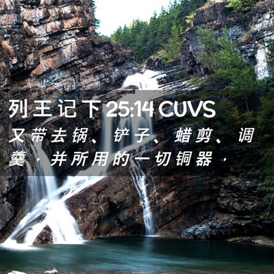 Picture 02 - 列 王 记 下 25:14 CUVS - 又 带 去 锅 、 铲 子 、 蜡 剪 、 调 - Bible Verse Picture