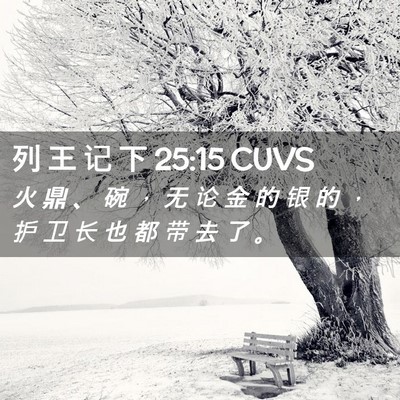 Picture 02 - 列 王 记 下 25:15 CUVS - 火 鼎 、 碗 ， 无 论 金 的 银 的 ， - Bible Verse Picture