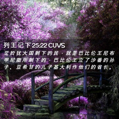 Picture 02 - 列 王 记 下 25:22 CUVS - 至 於 犹 大 国 剩 下 的 民 ， 就 是 - Bible Verse Picture