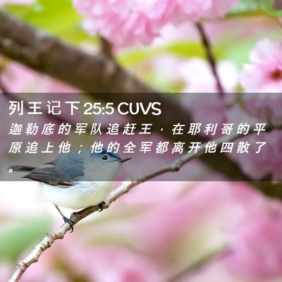 Picture 02 - 列 王 记 下 25:5 CUVS - 迦 勒 底 的 军 队 追 赶 王 ， 在 耶 - Bible Verse Picture