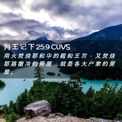 Picture 02 - 列 王 记 下 25:9 CUVS - 用 火 焚 烧 耶 和 华 的 殿 和 王 宫 - Bible Verse Picture