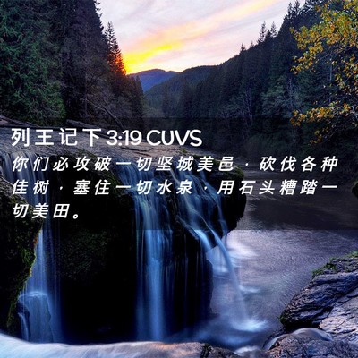 Picture 02 - 列 王 记 下 3:19 CUVS - 你 们 必 攻 破 一 切 坚 城 美 邑 ， - Bible Verse Picture