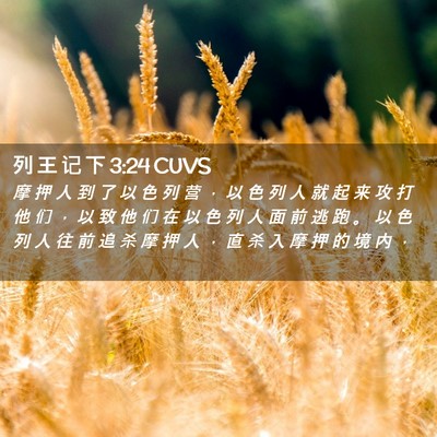 Picture 02 - 列 王 记 下 3:24 CUVS - 摩 押 人 到 了 以 色 列 营 ， 以 色 - Bible Verse Picture
