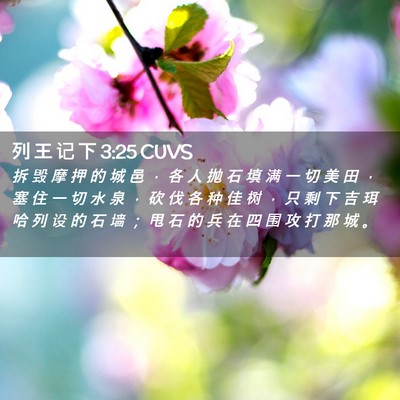 Picture 02 - 列 王 记 下 3:25 CUVS - 拆 毁 摩 押 的 城 邑 ， 各 人 抛 石 - Bible Verse Picture