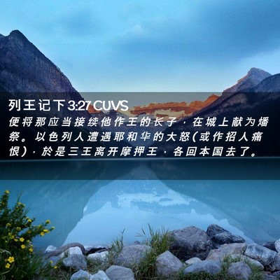 Picture 02 - 列 王 记 下 3:27 CUVS - 便 将 那 应 当 接 续 他 作 王 的 长 - Bible Verse Picture