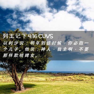 Picture 02 - 列 王 记 下 4:16 CUVS - 以 利 沙 说 ： 明 年 到 这 时 候 ， - Bible Verse Picture