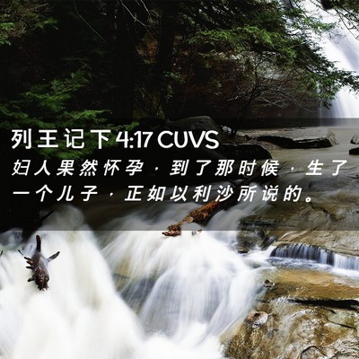 Picture 02 - 列 王 记 下 4:17 CUVS - 妇 人 果 然 怀 孕 ， 到 了 那 时 候 - Bible Verse Picture