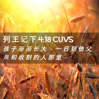 Picture 02 - 列 王 记 下 4:18 CUVS - 孩 子 渐 渐 长 大 ， 一 日 到 他 父 - Bible Verse Picture