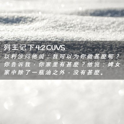 Picture 02 - 列 王 记 下 4:2 CUVS - 以 利 沙 问 他 说 ： 我 可 以 为 你 - Bible Verse Picture