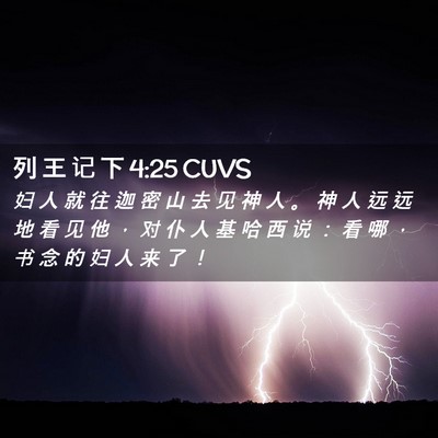 Picture 02 - 列 王 记 下 4:25 CUVS - 妇 人 就 往 迦 密 山 去 见 神 人 。 - Bible Verse Picture