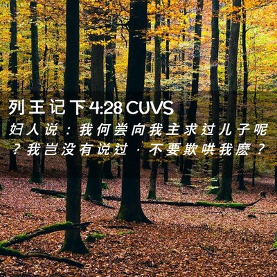 Picture 02 - 列 王 记 下 4:28 CUVS - 妇 人 说 ： 我 何 尝 向 我 主 求 过 - Bible Verse Picture