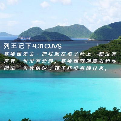 Picture 02 - 列 王 记 下 4:31 CUVS - 基 哈 西 先 去 ， 把 杖 放 在 孩 子 - Bible Verse Picture