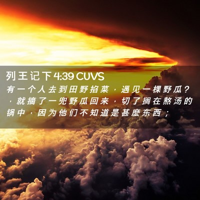 Picture 02 - 列 王 记 下 4:39 CUVS - 有 一 个 人 去 到 田 野 掐 菜 ， 遇 - Bible Verse Picture