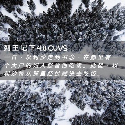 Picture 02 - 列 王 记 下 4:8 CUVS - 一 日 ， 以 利 沙 走 到 书 念 ， 在 - Bible Verse Picture