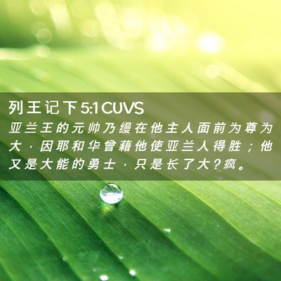 Picture 02 - 列 王 记 下 5:1 CUVS - 亚 兰 王 的 元 帅 乃 缦 在 他 主 人 - Bible Verse Picture