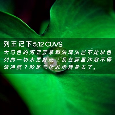 Picture 02 - 列 王 记 下 5:12 CUVS - 大 马 色 的 河 亚 罢 拿 和 法 珥 法 - Bible Verse Picture