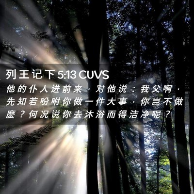 Picture 02 - 列 王 记 下 5:13 CUVS - 他 的 仆 人 进 前 来 ， 对 他 说 ： - Bible Verse Picture