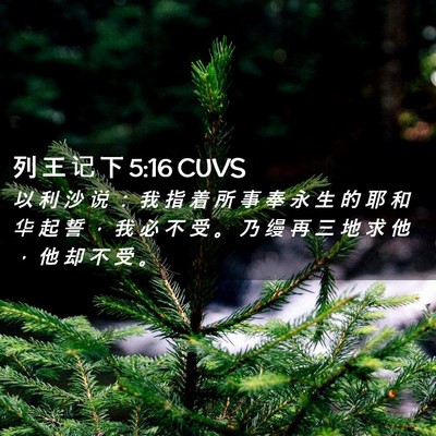 Picture 02 - 列 王 记 下 5:16 CUVS - 以 利 沙 说 ： 我 指 着 所 事 奉 永 - Bible Verse Picture