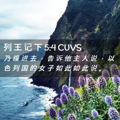 Picture 02 - 列 王 记 下 5:4 CUVS - 乃 缦 进 去 ， 告 诉 他 主 人 说 ， - Bible Verse Picture