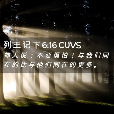 Picture 02 - 列 王 记 下 6:16 CUVS - 神 人 说 ： 不 要 惧 怕 ！ 与 我 们 - Bible Verse Picture