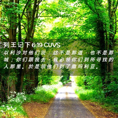 Picture 02 - 列 王 记 下 6:19 CUVS - 以 利 沙 对 他 们 说 ： 这 不 是 那 - Bible Verse Picture
