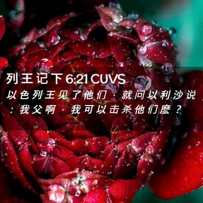 Picture 02 - 列 王 记 下 6:21 CUVS - 以 色 列 王 见 了 他 们 ， 就 问 以 - Bible Verse Picture