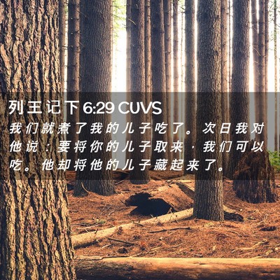 Picture 02 - 列 王 记 下 6:29 CUVS - 我 们 就 煮 了 我 的 儿 子 吃 了 。 - Bible Verse Picture