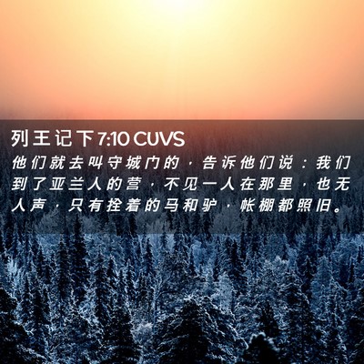 Picture 02 - 列 王 记 下 7:10 CUVS - 他 们 就 去 叫 守 城 门 的 ， 告 诉 - Bible Verse Picture