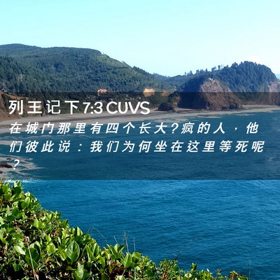 Picture 02 - 列 王 记 下 7:3 CUVS - 在 城 门 那 里 有 四 个 长 大 ? 疯 的 - Bible Verse Picture