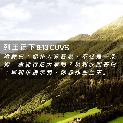 Picture 02 - 列 王 记 下 8:13 CUVS - 哈 薛 说 ： 你 仆 人 算 甚 麽 ， 不 - Bible Verse Picture