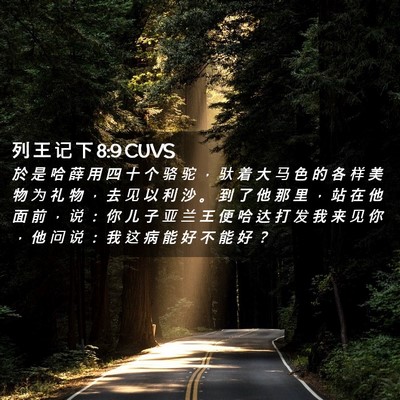 Picture 02 - 列 王 记 下 8:9 CUVS - 於 是 哈 薛 用 四 十 个 骆 驼 ， 驮 - Bible Verse Picture