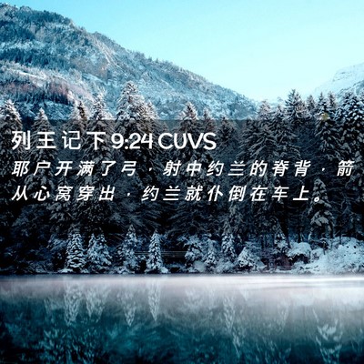 Picture 02 - 列 王 记 下 9:24 CUVS - 耶 户 开 满 了 弓 ， 射 中 约 兰 的 - Bible Verse Picture