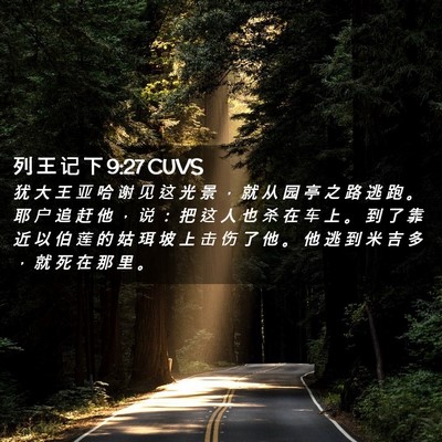Picture 02 - 列 王 记 下 9:27 CUVS - 犹 大 王 亚 哈 谢 见 这 光 景 ， 就 - Bible Verse Picture