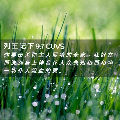 Picture 02 - 列 王 记 下 9:7 CUVS - 你 要 击 杀 你 主 人 亚 哈 的 全 家 - Bible Verse Picture