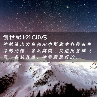 Picture 02 - 创 世 纪 1:21 CUVS - 神 就 造 出 大 鱼 和 水 中 所 滋 生 - Bible Verse Picture