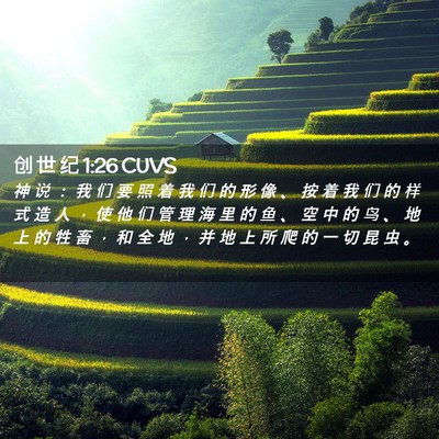 Picture 02 - 创 世 纪 1:26 CUVS - 神 说 ： 我 们 要 照 着 我 们 的 形 - Bible Verse Picture