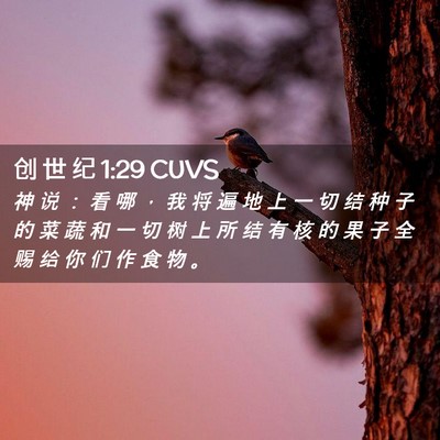 Picture 02 - 创 世 纪 1:29 CUVS - 神 说 ： 看 哪 ， 我 将 遍 地 上 一 - Bible Verse Picture