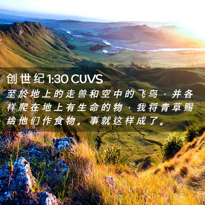 Picture 02 - 创 世 纪 1:30 CUVS - 至 於 地 上 的 走 兽 和 空 中 的 飞 - Bible Verse Picture
